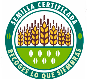 Semilla Certificada